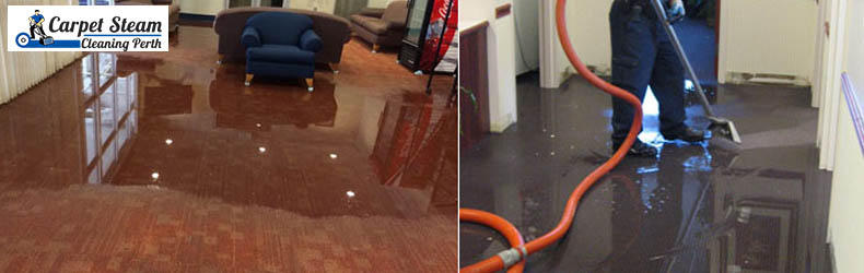 Carpet Water Damage Restoration Pest Darling Downs