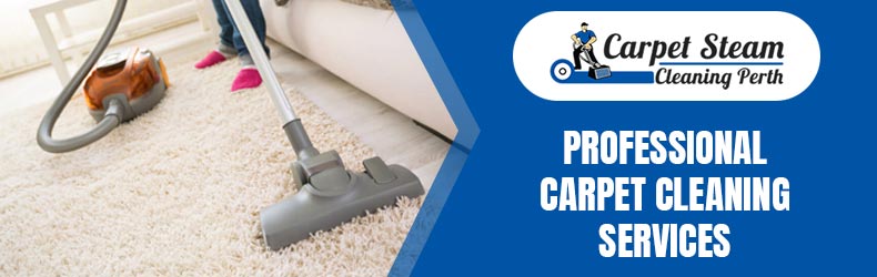 Professional Carpet Cleaning-Services