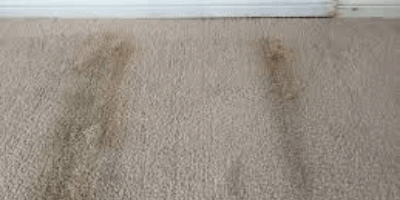 Carpet Mould Removal Perth