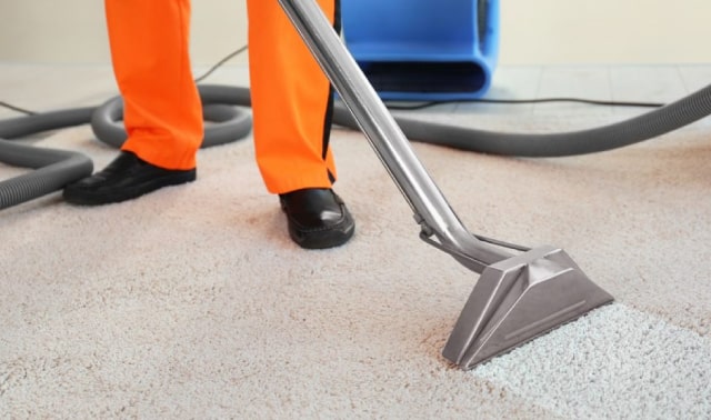 Carpet Cleaning Service