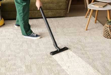 Carpet Germs-Free Service