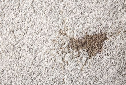 Carpet Stain Protection
